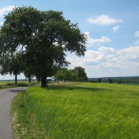 Größeres Bild anzeigen