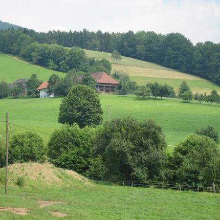 Größeres Bild anzeigen