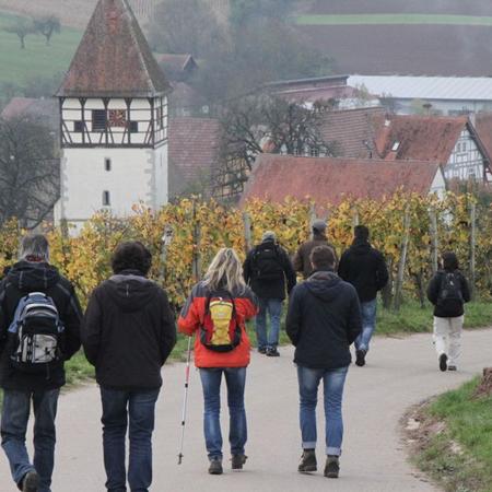 Größeres Bild anzeigen