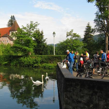 Größeres Bild anzeigen