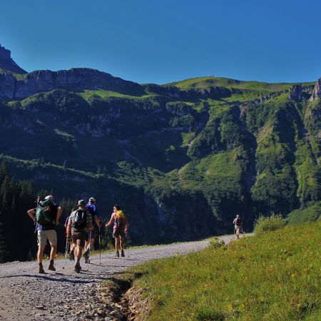 Größeres Bild anzeigen