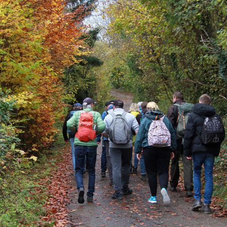 Größeres Bild anzeigen