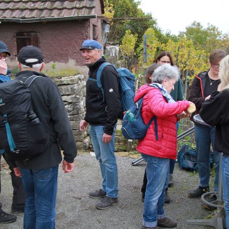 Größeres Bild anzeigen