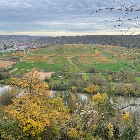 Größeres Bild anzeigen