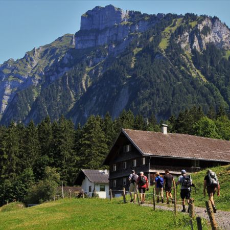 Größeres Bild anzeigen