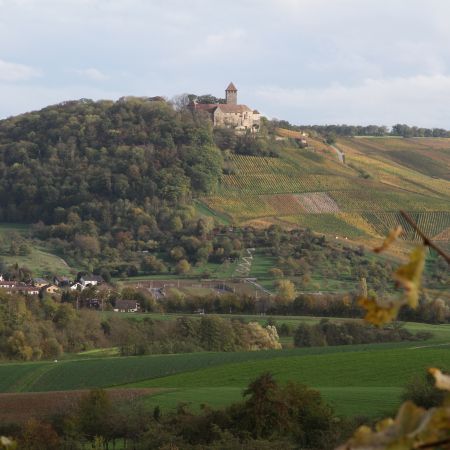 Größeres Bild anzeigen