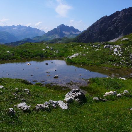 Größeres Bild anzeigen